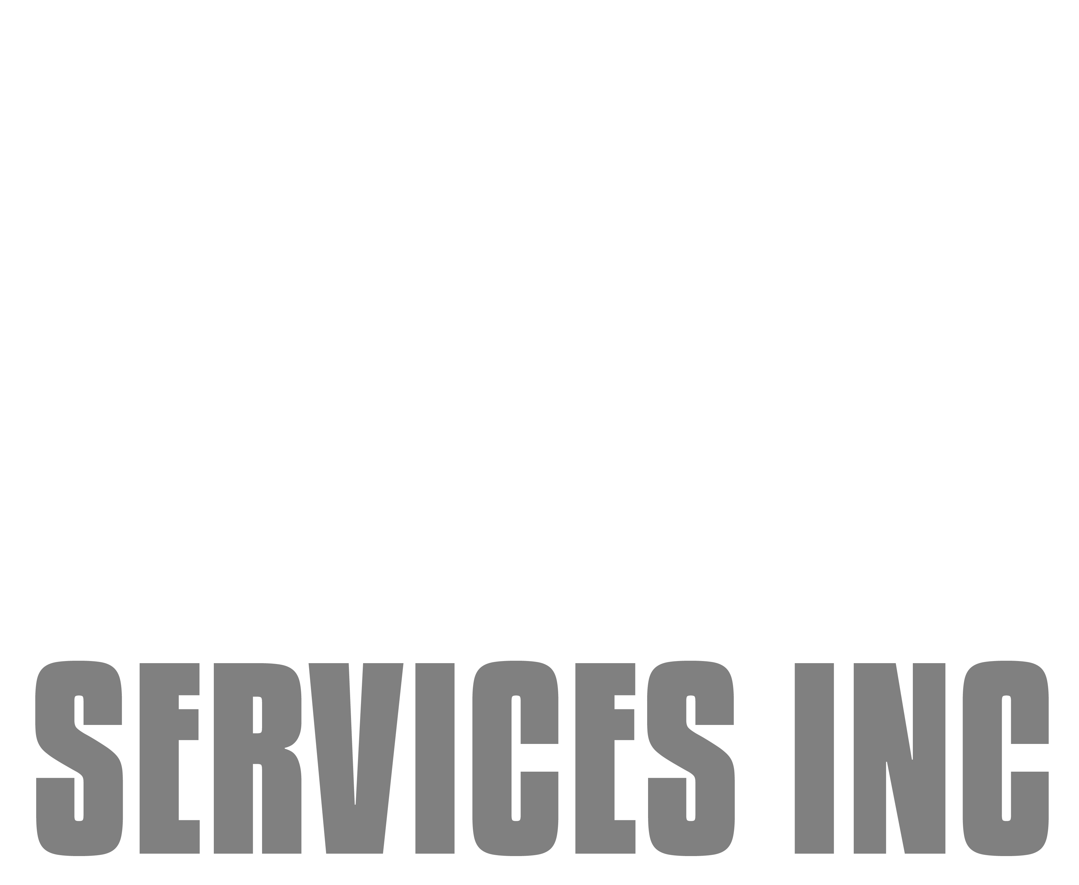LN Services Inc